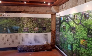 Porta de Campo do Gerês, Exposição Bosque