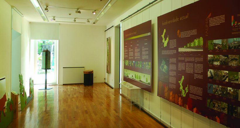 Sala de Exposições - Centro de Educação Ambiental do Vidoeiro - Gerês