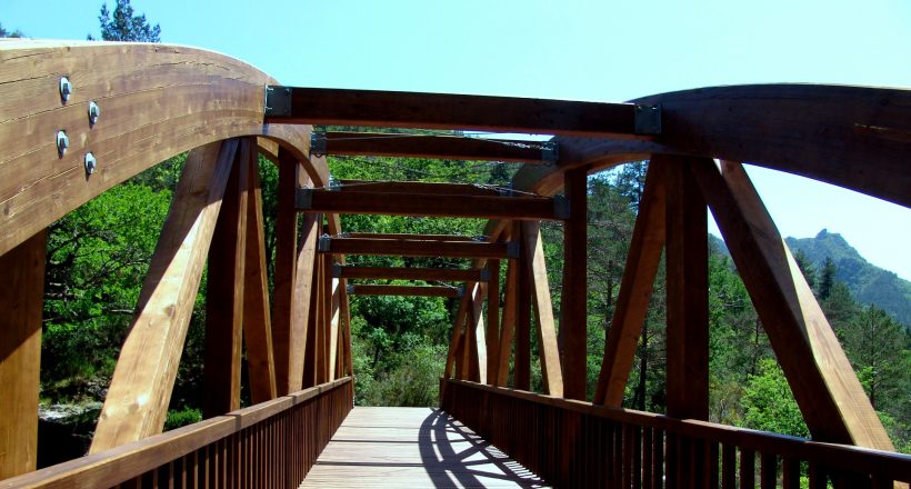 Ponte São Miguel, Mata da Albergaria
