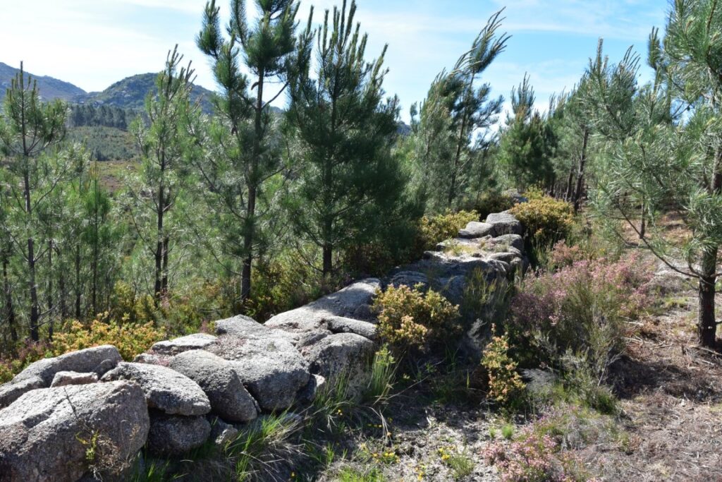 Muro da Trincheira São João do Campo