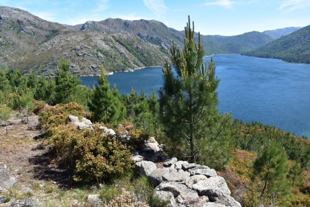 Perspetiva do muro da trincheira de São João do Campo
